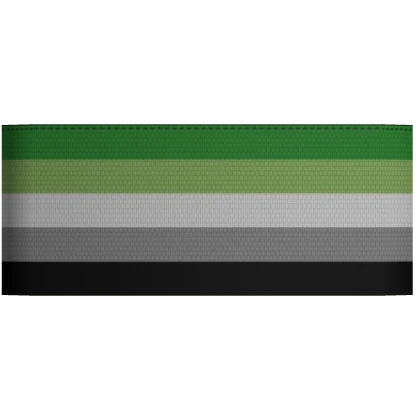 Tactical Armband (Aromantic Pride)