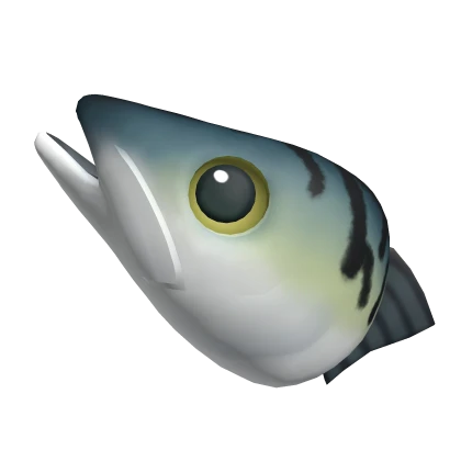 Mackerel Head