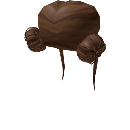 🌸 Brown Double Buns with Clips