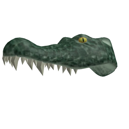 Crocodile Hat