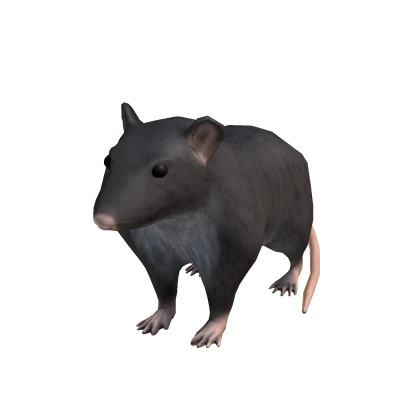 Tiny Mouse Rat