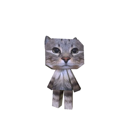 Mini Meme Cat