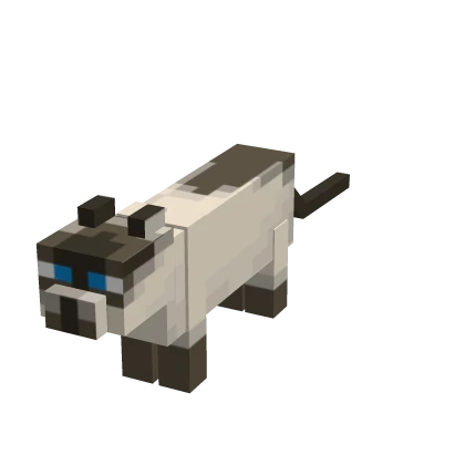 Mini Slamese Cat Suit [2X Less]