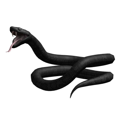 Snake On Arm