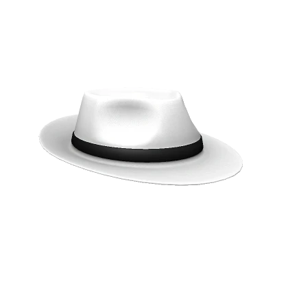 ⌛White & Black Fedora