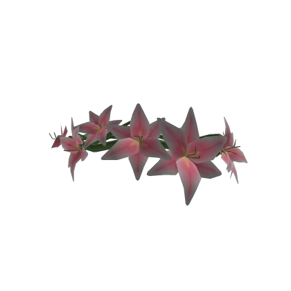 NPO ZAPP Flower Headband