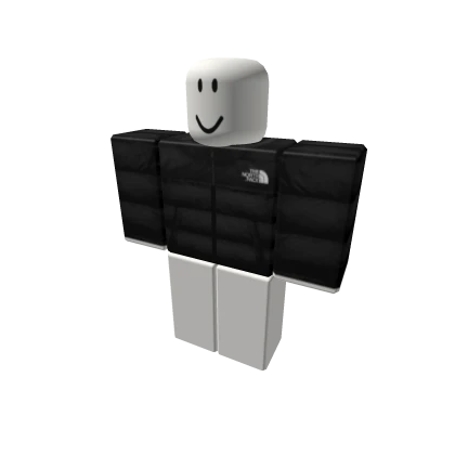 The North Face Jacket