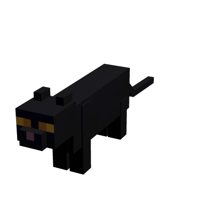  Mini Black Cat Suit