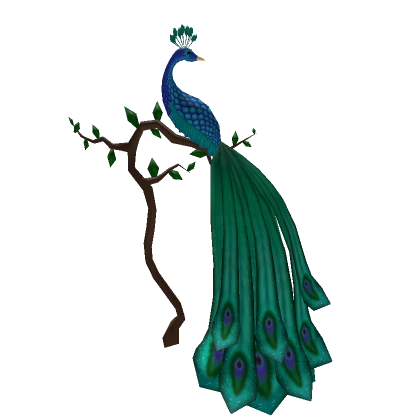 Peacock Pet