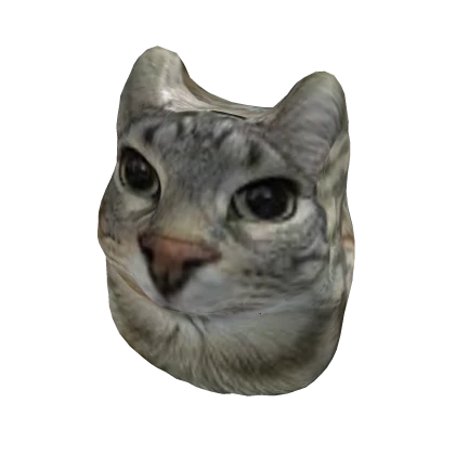 Staring Cat Meme Suit