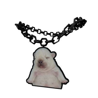 Pibble Chain