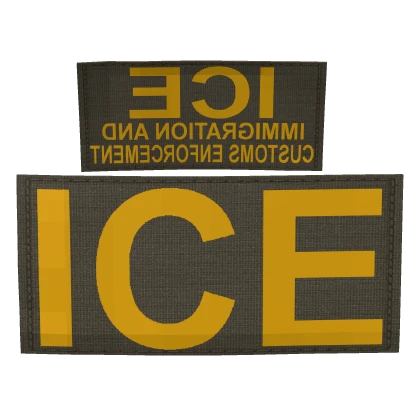 RG/Y DHS ICE Vest Patches (DPC)