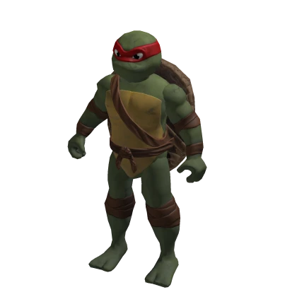 Ninja Turtle 