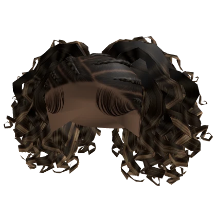 Braids with Curls [brown & blonde]