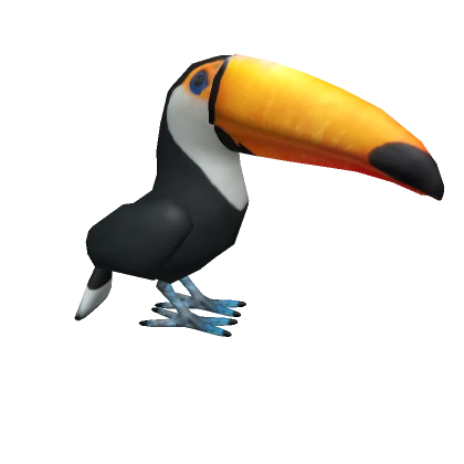 Toco Toucan