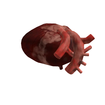 [R6] Holdable Heart (Right)