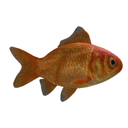 🐟 Enermous GoldFish [Back Accessory] 🐟