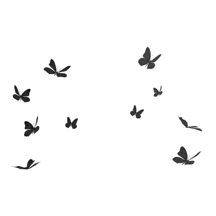 🦋 Black Butterflies