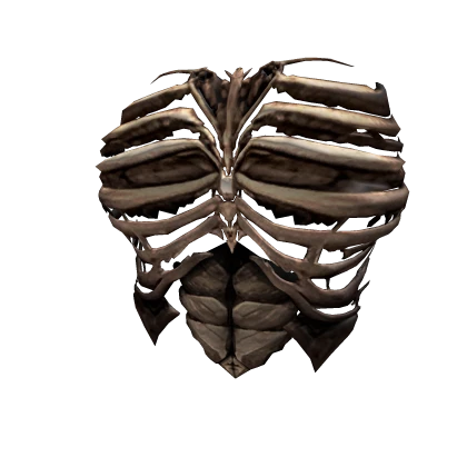 Thalors Reaper Bone Armor (Reaper Set)
