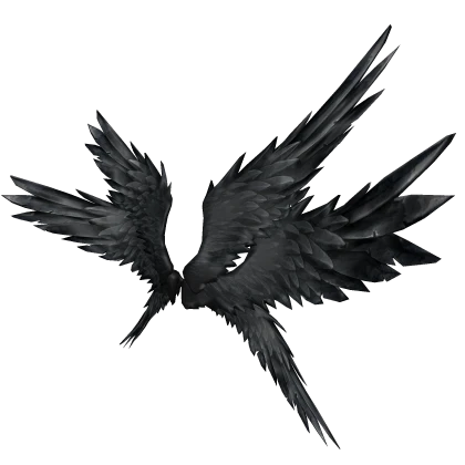 Black Fallen Angel Wings