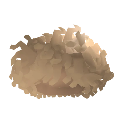 Blonde Curly Afro Hair