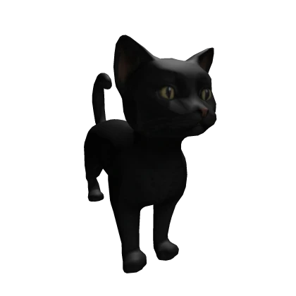 ⏳Black Cat⏳