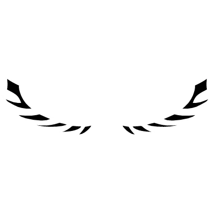 Forsaken Two Times Spawn Wings (Perfection)