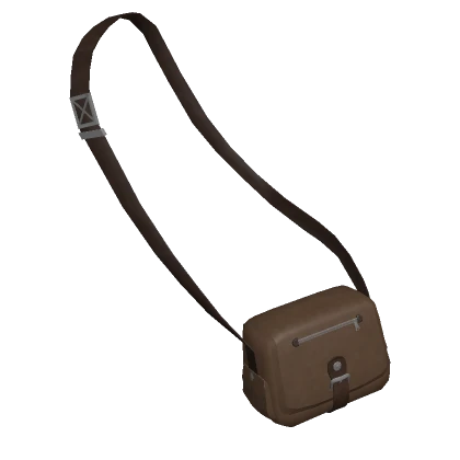 Brown Cross-Body Bag (3.0)