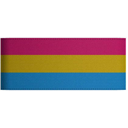 Tactical Armband (Pan Pride)