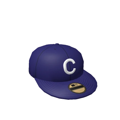 Blue Backwards Fitted Cap