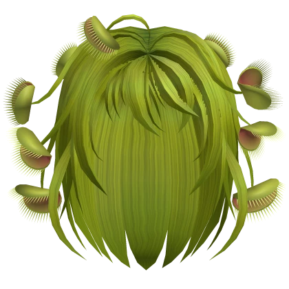 Venus Fly Trap Hair