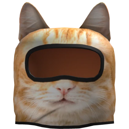 Orange cat ski mask