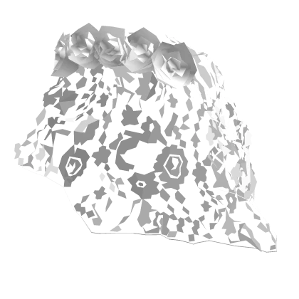 ♡ White lace veil with roses