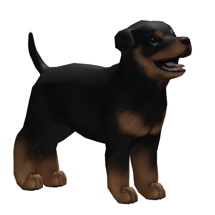 Cute Black Rottweiler Puppy Dog Waist Pet