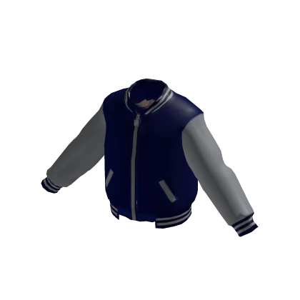 [🏈] Gray and Blue Varsity Bomber Jacket