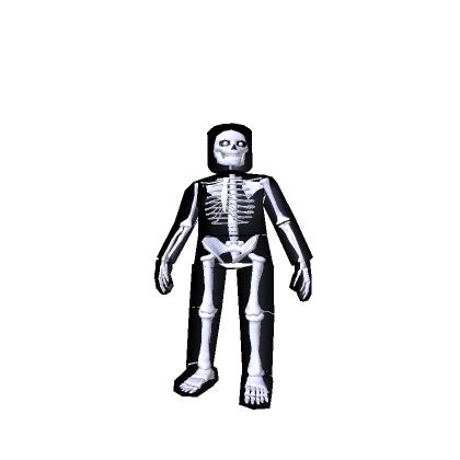 💀 Skeleton 💀