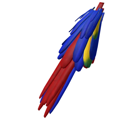 Scarlet Macaw Parrot Tail