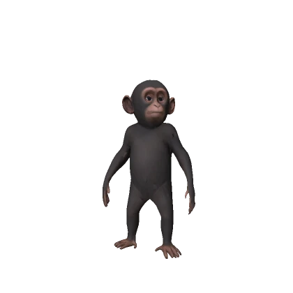 Mini Chimp