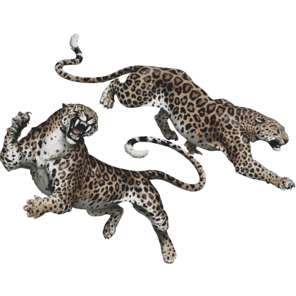 Leopard Cheeta Animal Tropical McBling Harajuku 