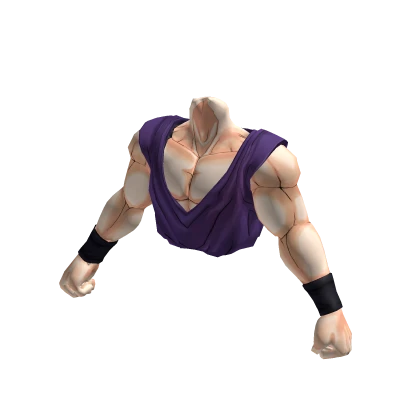 Gohan Gi +