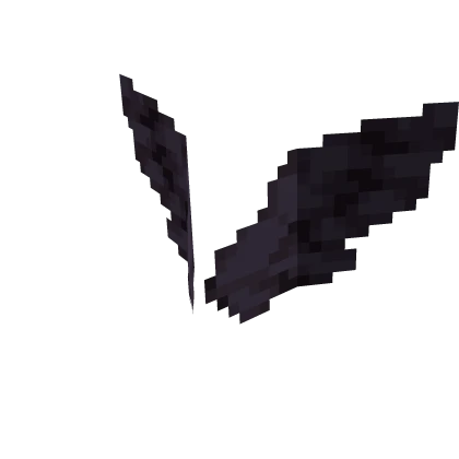 Small Black Wings - Steven