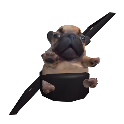 Pibble Carrier 🐶 - Wash my Belly 🧼