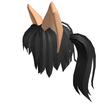 Black Houble Ponytail