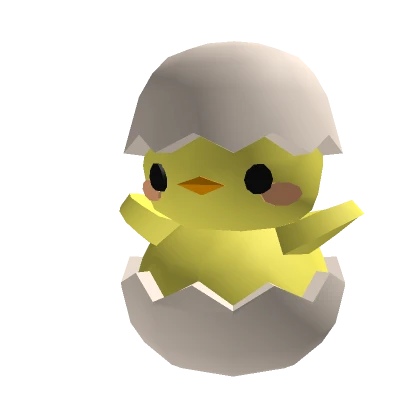 Hatched Baby Chick