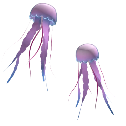 Jellyfish