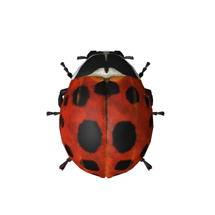 Cute Ladybug 🐞 Shoulder Pal Animal