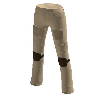 Tan Cargo Pants