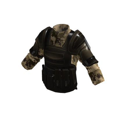 Desert Tactical Body Armor