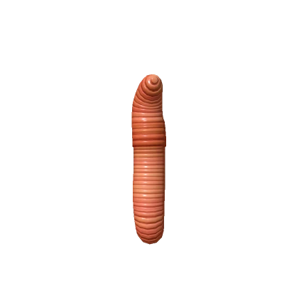 Worm