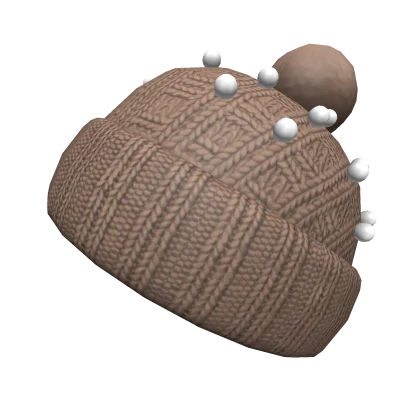 Brown Fall Knit Beanie